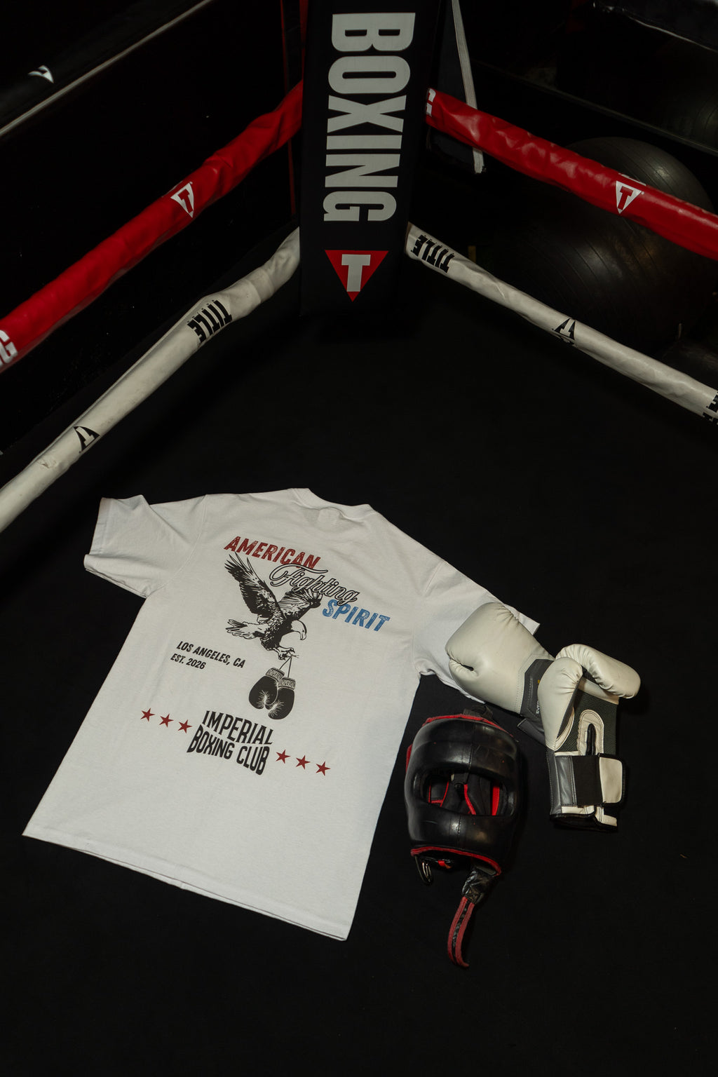 Freedom 250 Oversized T-shirt